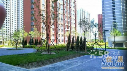 專業(yè)服務(wù)鑄就信賴 走近北京鑫意偉業(yè)房地產(chǎn)經(jīng)紀畢春燕的房源店鋪